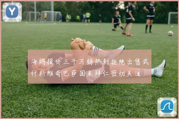 海鸥报价三千万镑热刺拒绝出售武什科维奇巴萨国米拜仁密切关注